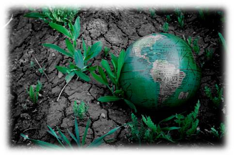 Science homework help on biomes in washington state
